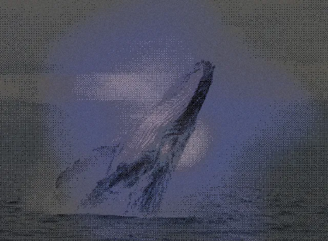 Breach
