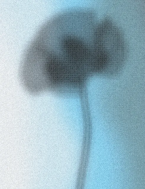 Arctic Dot