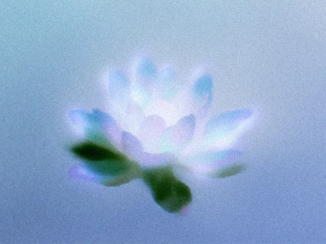 Aurora Mesh