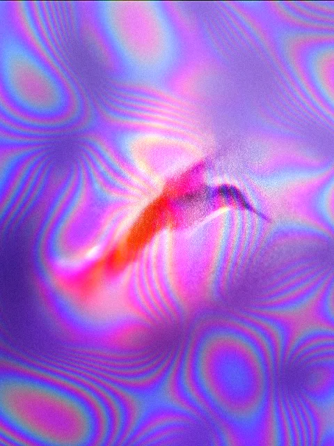 Holographic Sheen